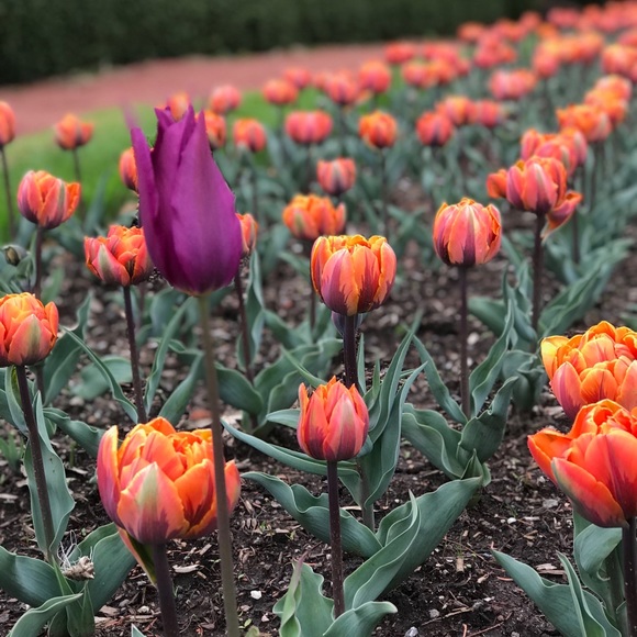 Meet your Posher, Claire - Picture 1 of 1